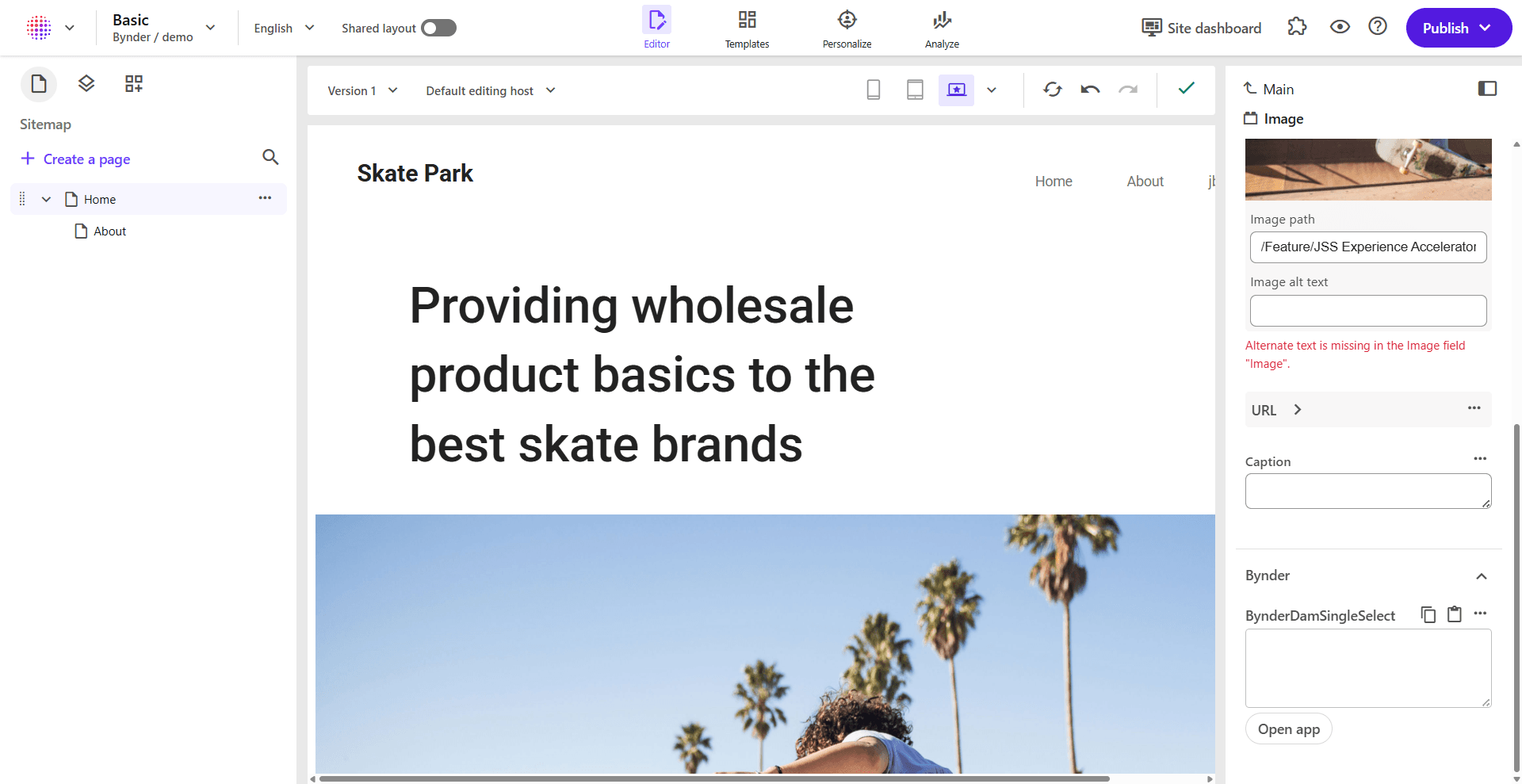 Bynder Custom Field in Sitecore Pages