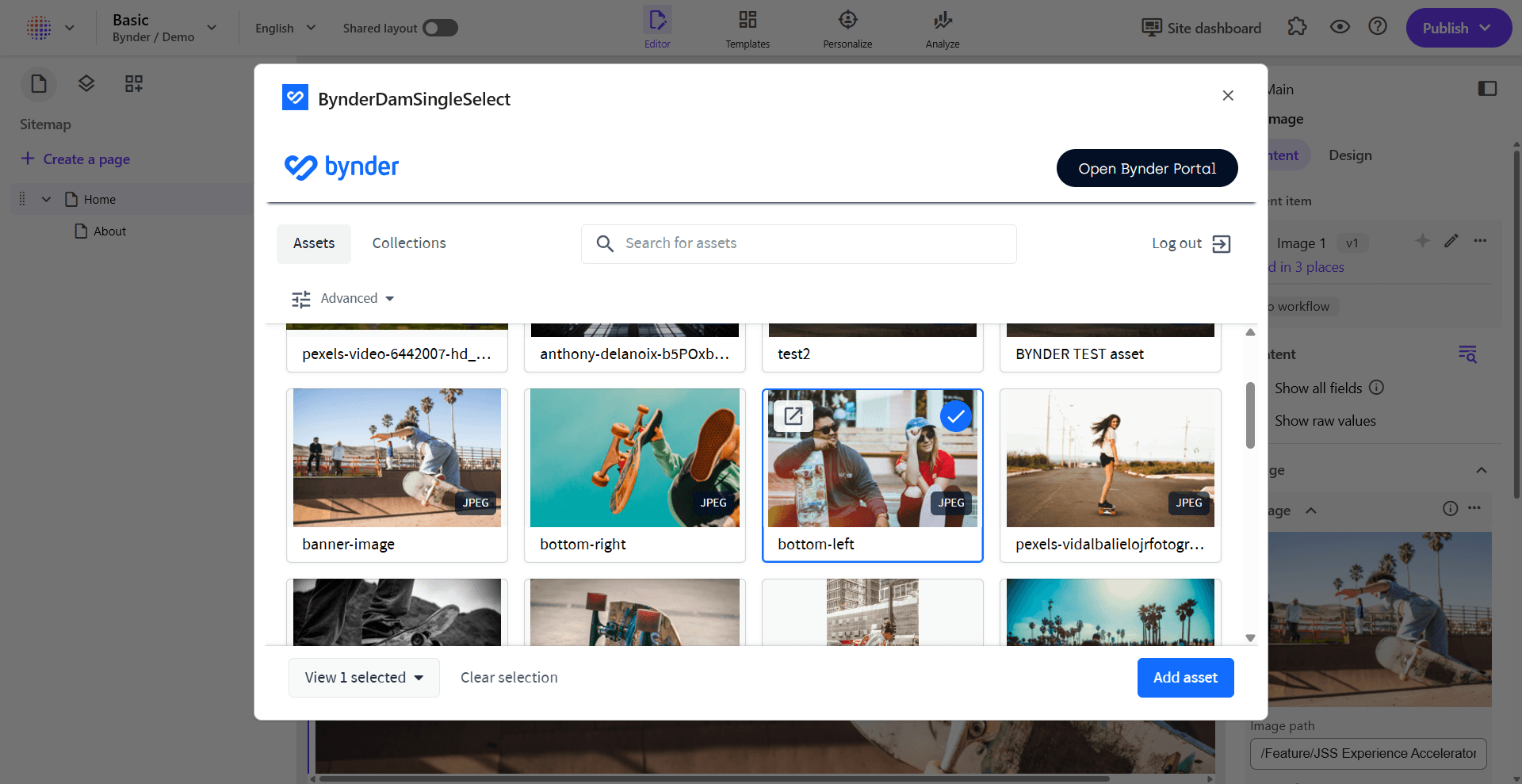 Selected asset ready to add