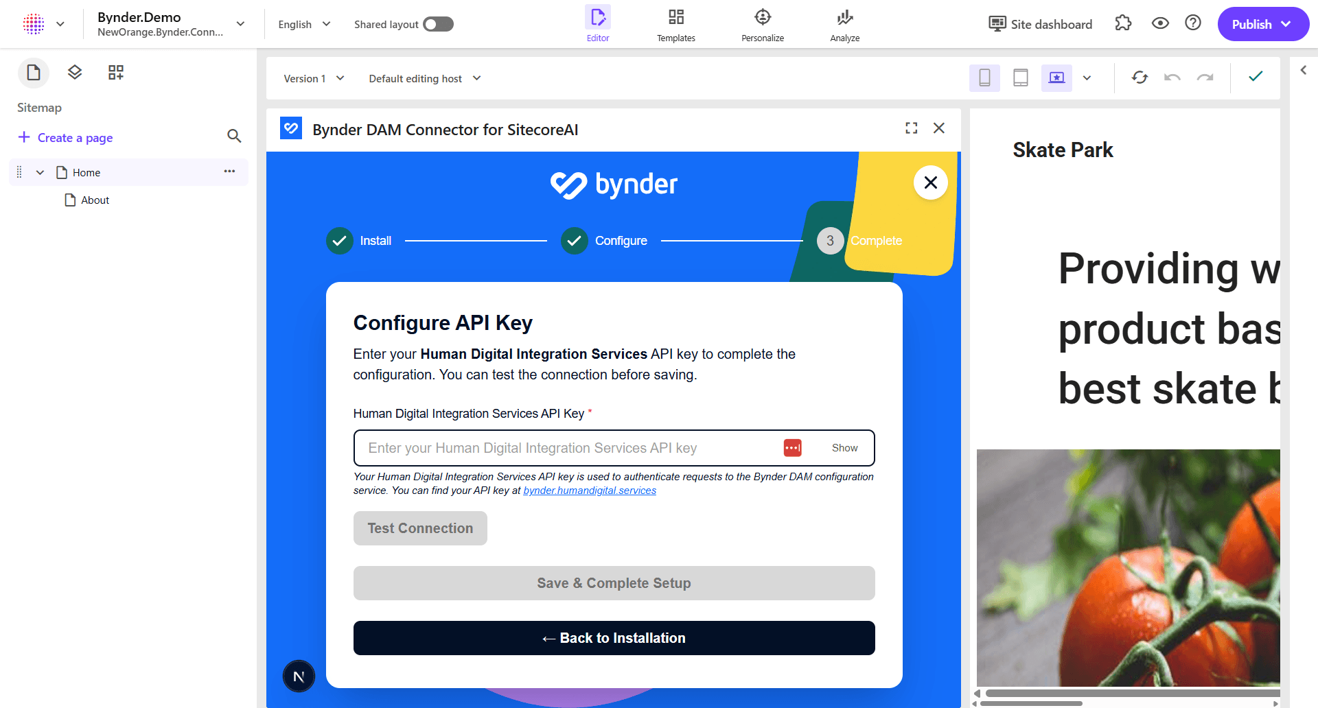 Configure API Key Step
